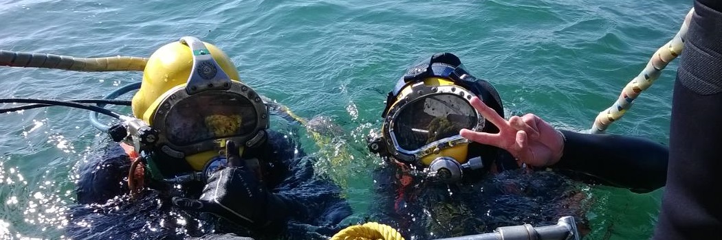 South_African_Diver_Feature