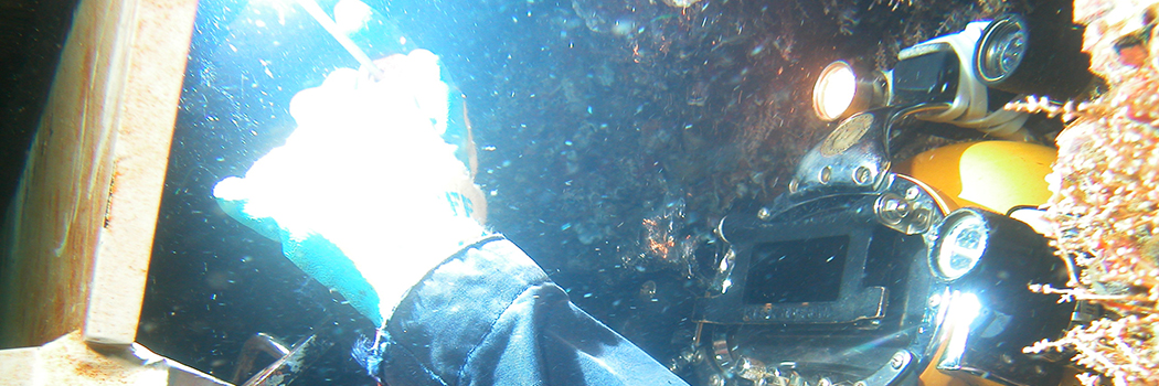 Biz_Wave_Dryden_Diving_Company_Feature