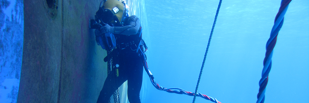 Biz_Wave_Sea_Sub_Systems_Feature