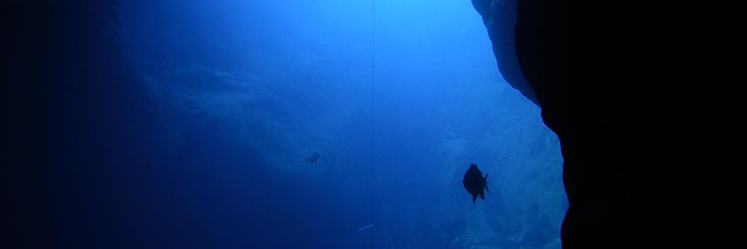 Deep Dives Feature