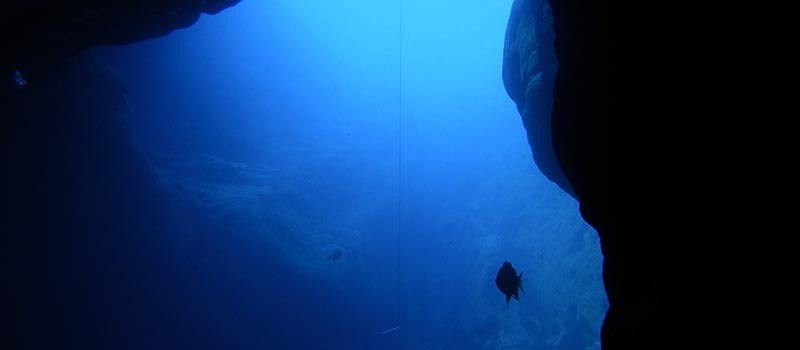 World Record Deep Dive On One Breath